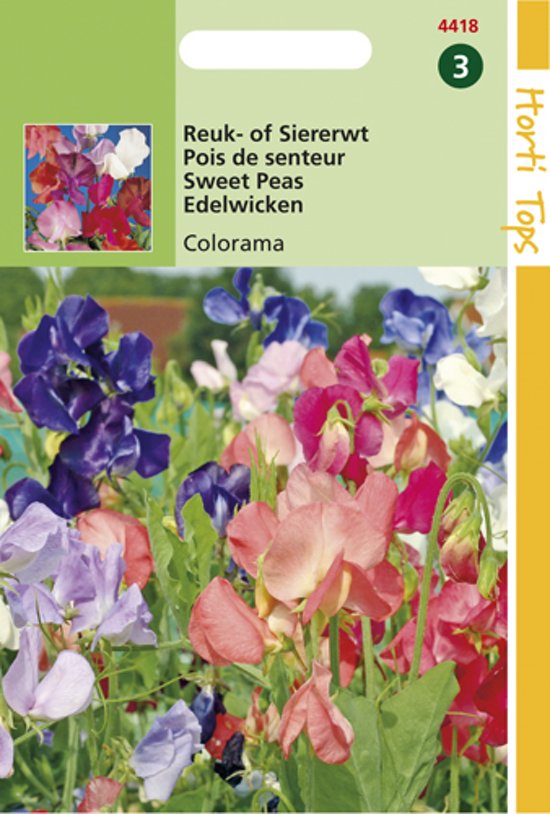 Sweet Pea Colorama (Lathyrus odoratus) 60 seeds